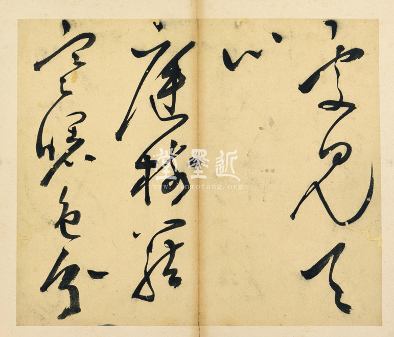 王問  草書七言詩贈雲望先生冊