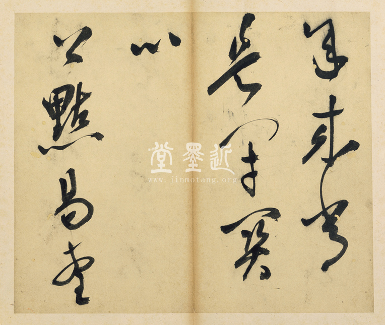 王問  草書七言詩贈雲望先生冊