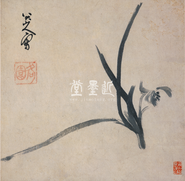 八大山人  蘭花圖