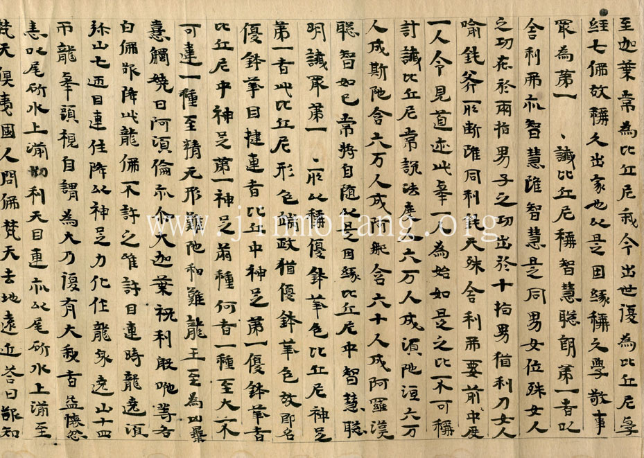 《增壹阿含經》異譯本殘卷